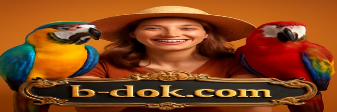 bdok প্রোমোশন